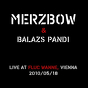 Merzbow & Balázs Pándi ‎– Live At Fluc Wanne, Vienna, 2010/05/18