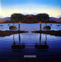 Bruce Dickinson ‎– Skunkworks