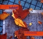 Kolektif ‎– Balkanatolia 