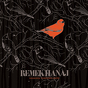 Remek Hanaj ‎– Nagrania terenowe snów