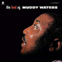 Muddy Waters ‎– The Best Of Muddy Waters
