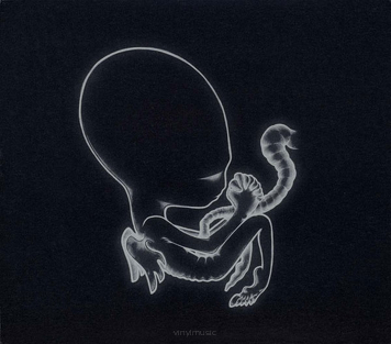 Sigur Ros ‎– Agaetis Byrjun 