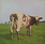 Pink Floyd ‎– Atom Heart Mother