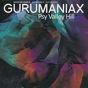 Gurumaniax - Psy Valley Hill