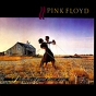 Pink Floyd ‎– A Collection Of Great Dance Songs