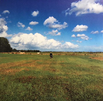 Biosphere ‎– The Hilvarenbeek Recordings