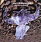 Icon_R-21975-1230216601