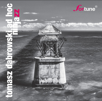 Tomasz Dabrowski AD HOC ‎– Ninjazz
