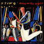 Sting ‎– Bring On The Night