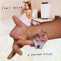 Sonic Youth ‎– A Thousand Leaves