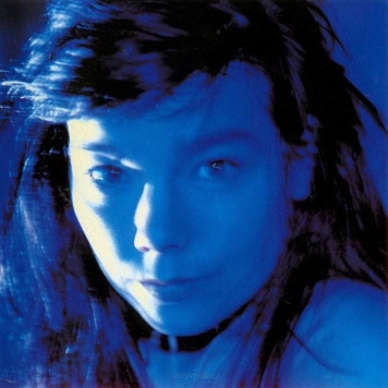 Bjork ‎– Telegram 