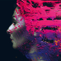 Steven Wilson ‎– Hand. Cannot. Erase.