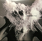 The Afghan Whigs ‎– Do To The Beast
