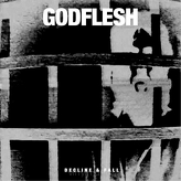 Godflesh ‎– Decline & Fall