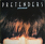 Pretenders ‎– Packed!